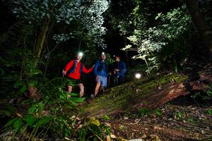 BIB: 
                            <button type="button" onclick="openModal(15973650)" class="btn btn-primary btn-sm float-right btn-popup" data-toggle="modal" data-target=".modal-high-quality">
                        <i class="fas fa-shopping-cart"></i> Add to Cart
                    </button>
                                            <button type="button" onclick="isThisMe(15973650, true)" class="btn btn-success btn-sm float-right btn-popup btn-isme hidden" data-toggle="tooltip" data-placement="bottom" title="นี่คือรูปของคุณใช่ไหม คลิกที่นี่เพื่อเอาเข้าอัลบั้ม">
                        <i class="fas fa-plus"></i> Add to album
                    </button>
                    <button type="button" onclick="isThisMe(15973650, false)" class="btn btn-warning btn-sm float-right btn-popup btn-isnotme hidden">
                        <i class="fas fa-ban"></i> Remove from album
                    </button>